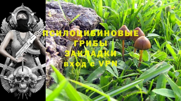 не бодяженный Россошь