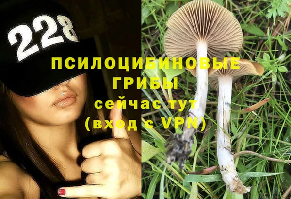бутират Балахна