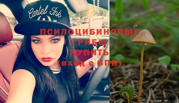 стаф Баксан
