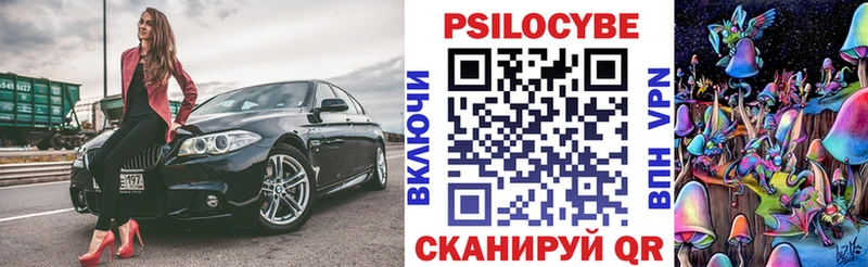 Псилоцибиновые грибы Psilocybe  купить   Козельск 